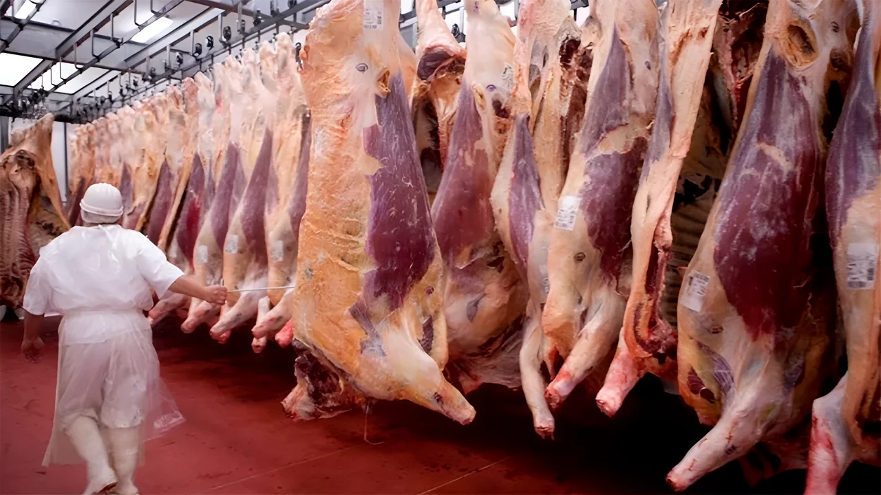 Decreto 697/2024: Nueva normativa elimina retenciones a productos lácteos y reduce impuestos para carnes