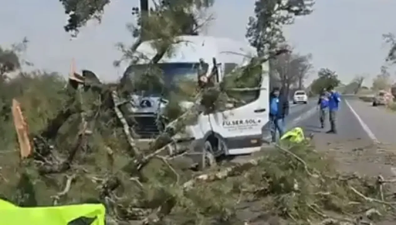 Tucumán: un árbol cayó sobre una camioneta que transportaba niños con discapacidad en medio de la ruta.