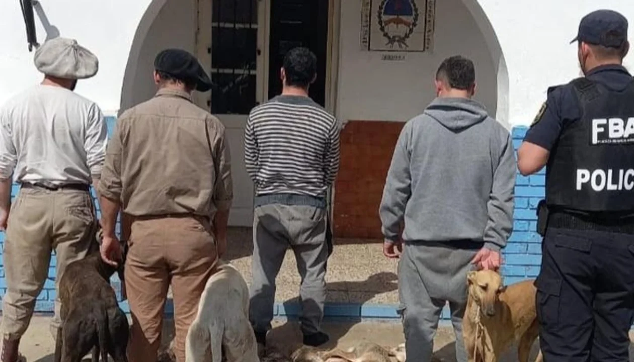 Detienen a cuatro hombres por cazar liebres con galgos en un campo de la Ruta 226