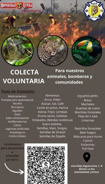 Centros de acopio en La Paz, El Alto y Santa Cruz para ayuda humanitaria por los incendios forestales