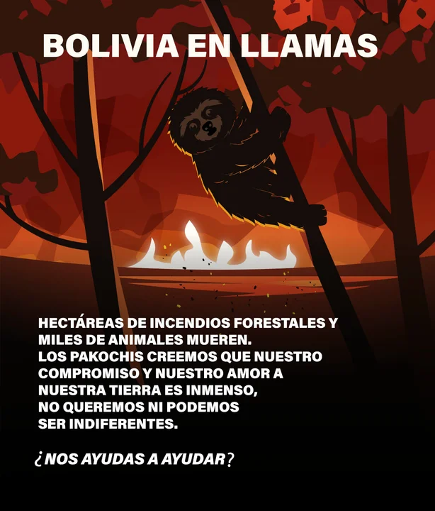 Campaña de acopio para apoyar en la crisis ambiental en Bolivia