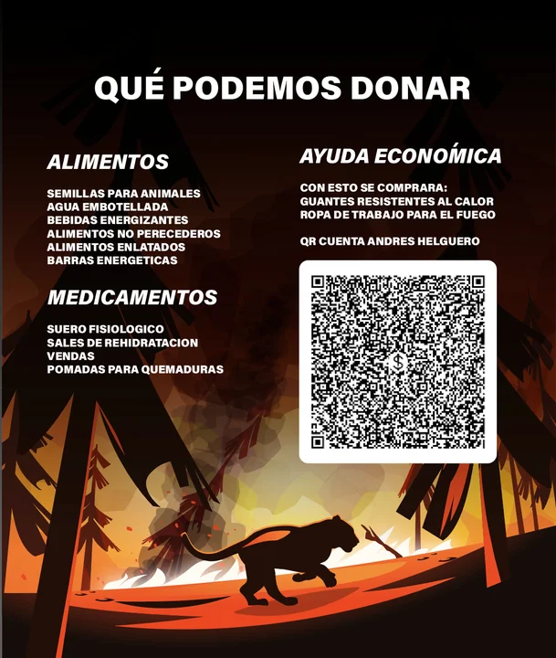 Campaña de acopio para apoyar en la crisis ambiental en Bolivia