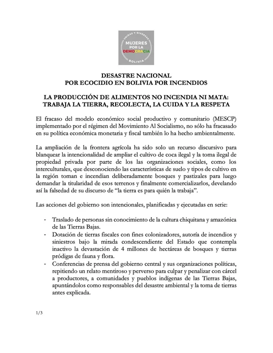 Colectivo "Mujeres por la Democracia" exige la abrogación de la Ley 741, "la madre de los incendios".
