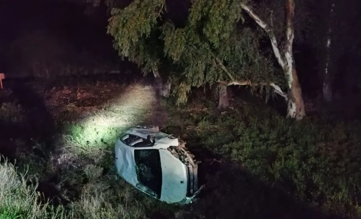 Vuelco tras intentar esquivar a un perro