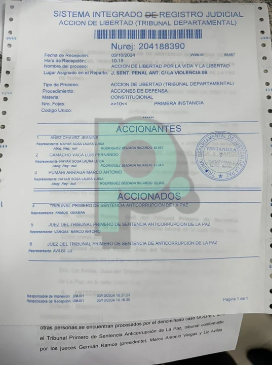Diputada Luisa Nayar presenta acción de libertad para Añez, Camacho y Pumari tras declaraciones del exministro Iván Lima