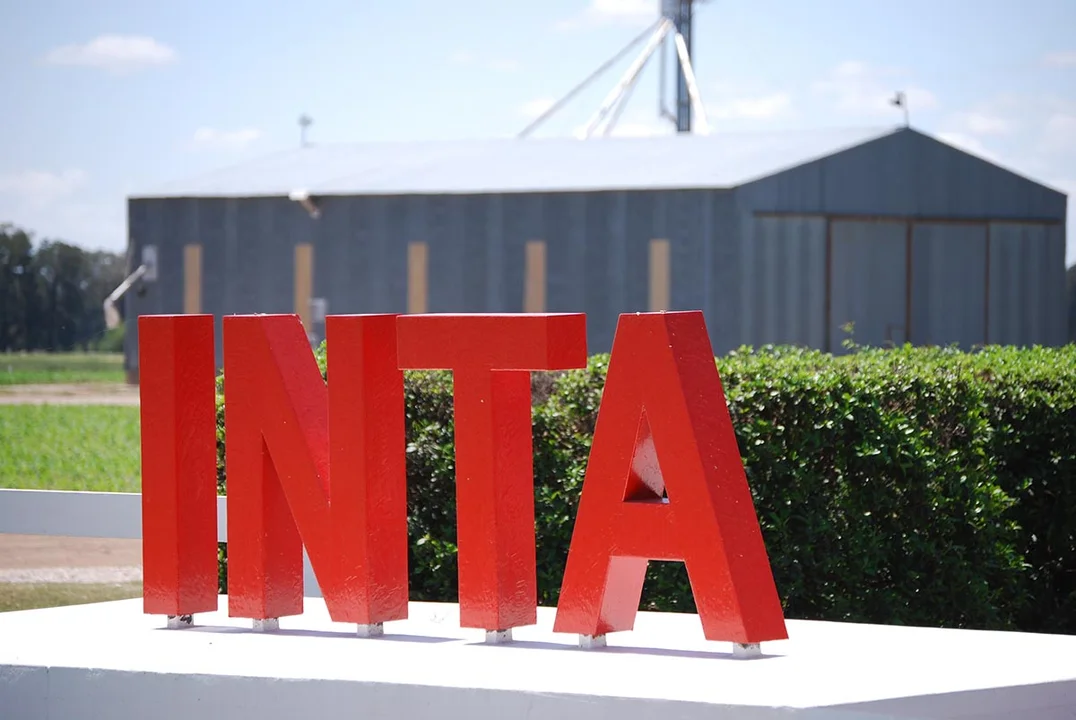 Renuncias en el INTA, se fue Molina Hafford y temor por recortes