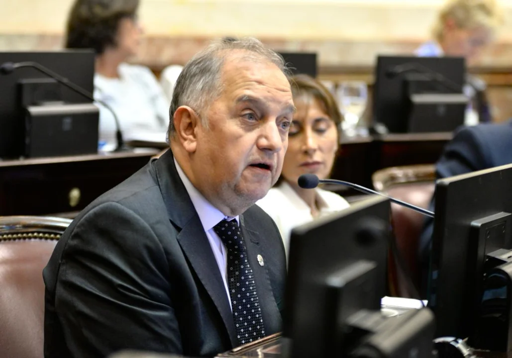 Senador peronista Linares defiende la idea de hacerle juicio político a Javier  MIlei