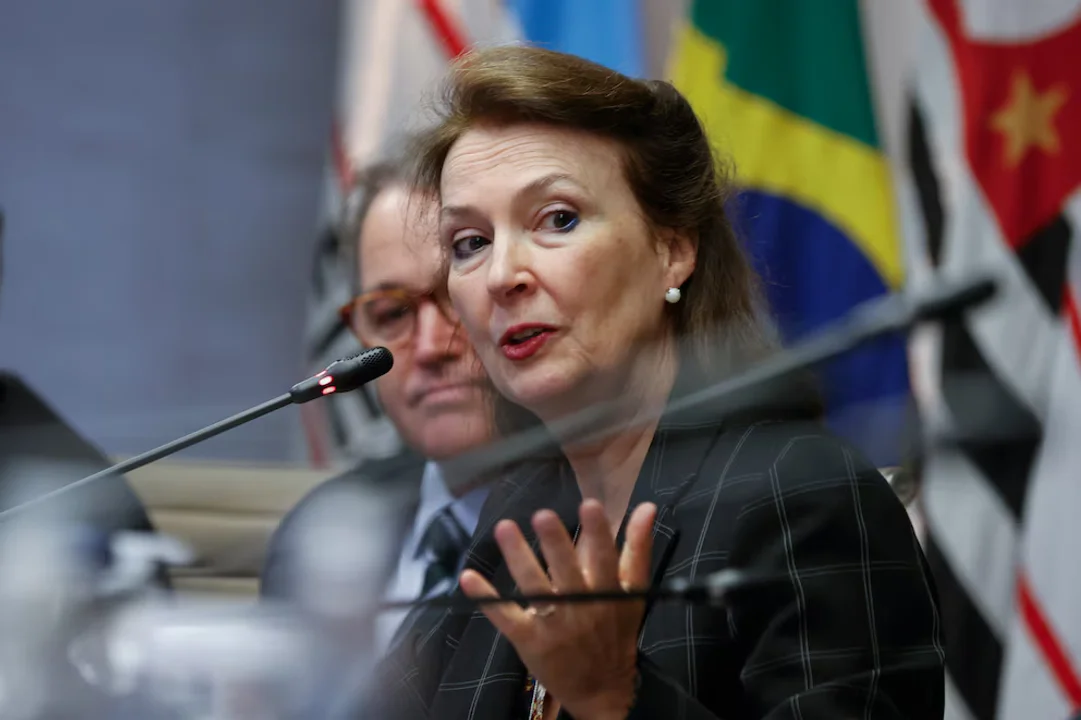 Milei echo del gobierno a Diana Mondino
