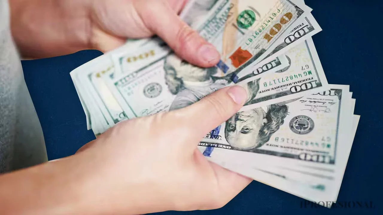  El dólar blue  cotiza a  $1.190,00 para la venta