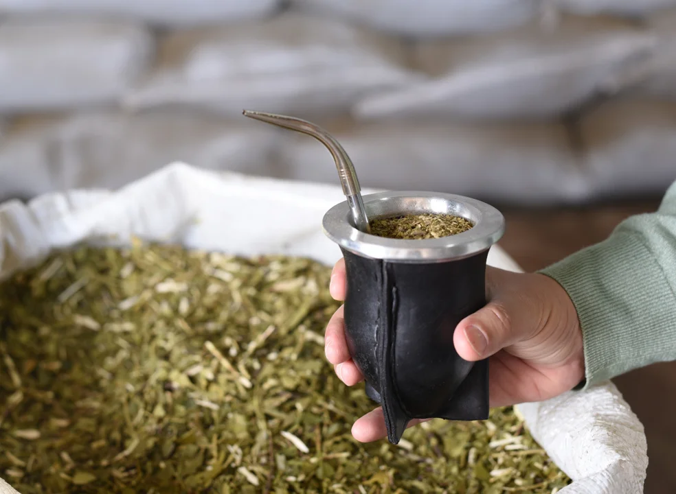 Yerba mate: caída histórica en el consumo interno y las exportaciones