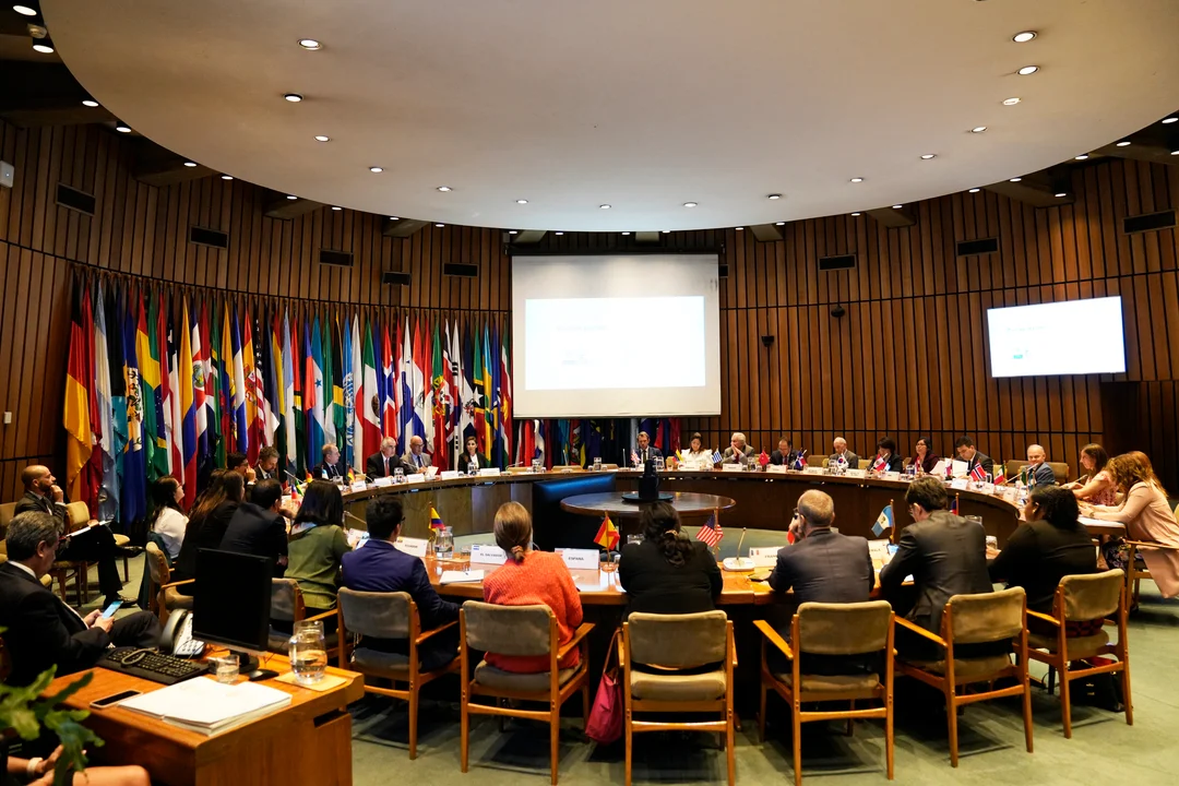  Comisión Económica para América Latina y el Caribe (CEPAL)