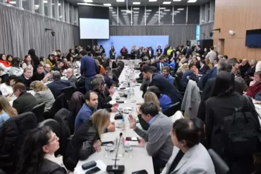 PASO: La suspensión que propone el Gobierno consiguió respaldos peronistas y aliados