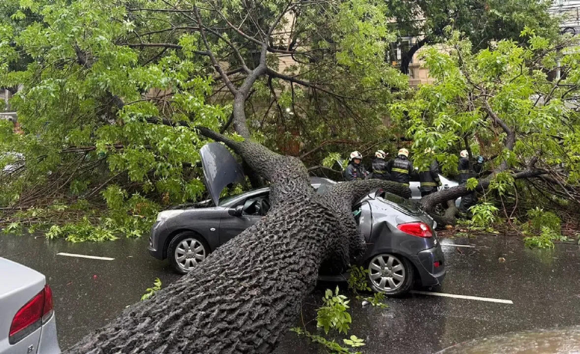 CABA: un árbol cayó sobre seis autos en Almagro y dejó cuatro heridos