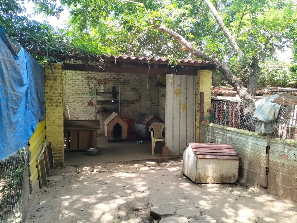 Indignación por posible caso de biocidio en Santa Cruz: siete perritos en un refugio fueron envenenados