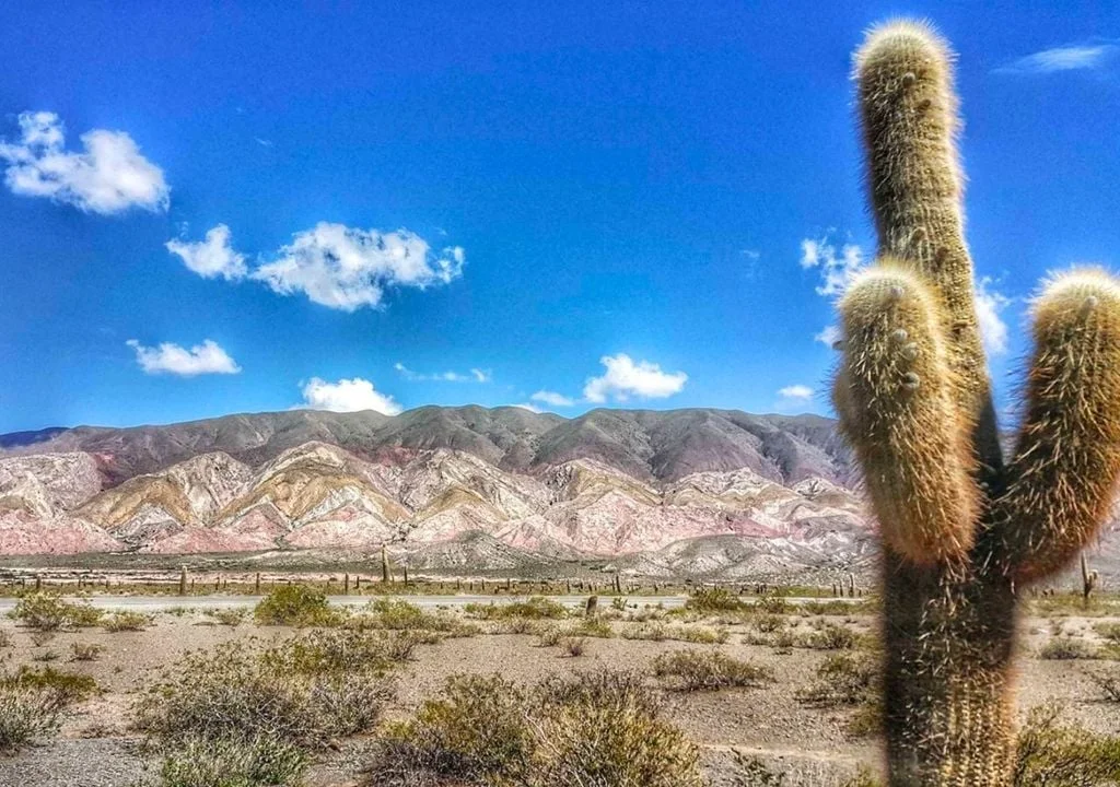 La temporada de verano 2024-2025 tuvo menos turistas que la anterior, con una caída del 3,9%