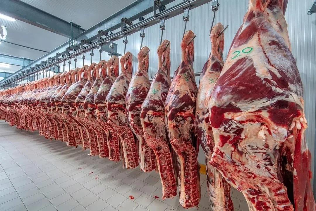 Después de un 2024 de consumo históricamente bajo, la venta de carne vacuna registró un crecimiento del 13,1% en el primer bimestre del año.