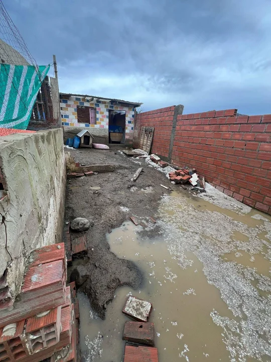 Solidaridad ante la emergencia: El refugio "Hocicos del Mundo" necesita nuestra ayuda