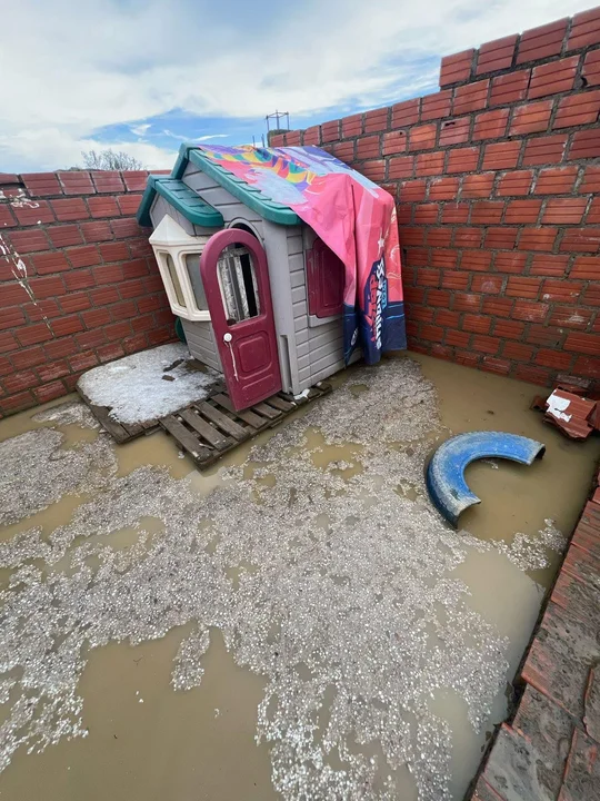 Solidaridad ante la emergencia: El refugio "Hocicos del Mundo" necesita nuestra ayuda