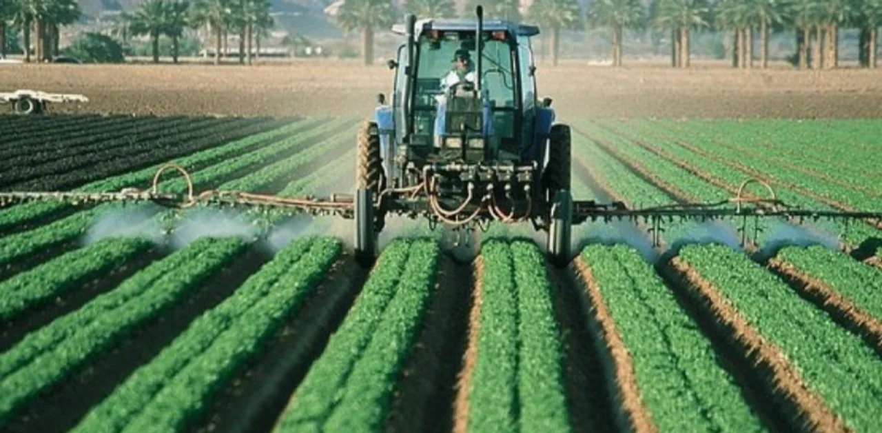 Sigue creciendo la importación de alimentos.