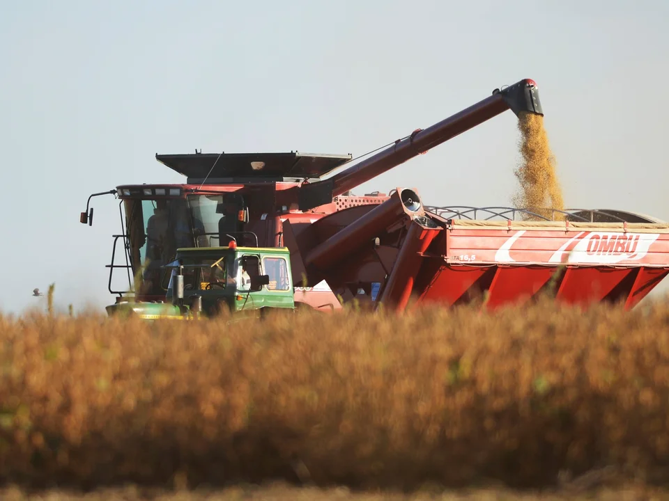 La economía mostró una suba del 0,8% en febrero en comparación con enero, según informó el Indec