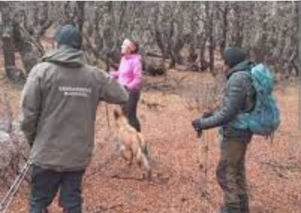 Aparecieron sanas y salvas las dos turistas perdidas en El Bolsón