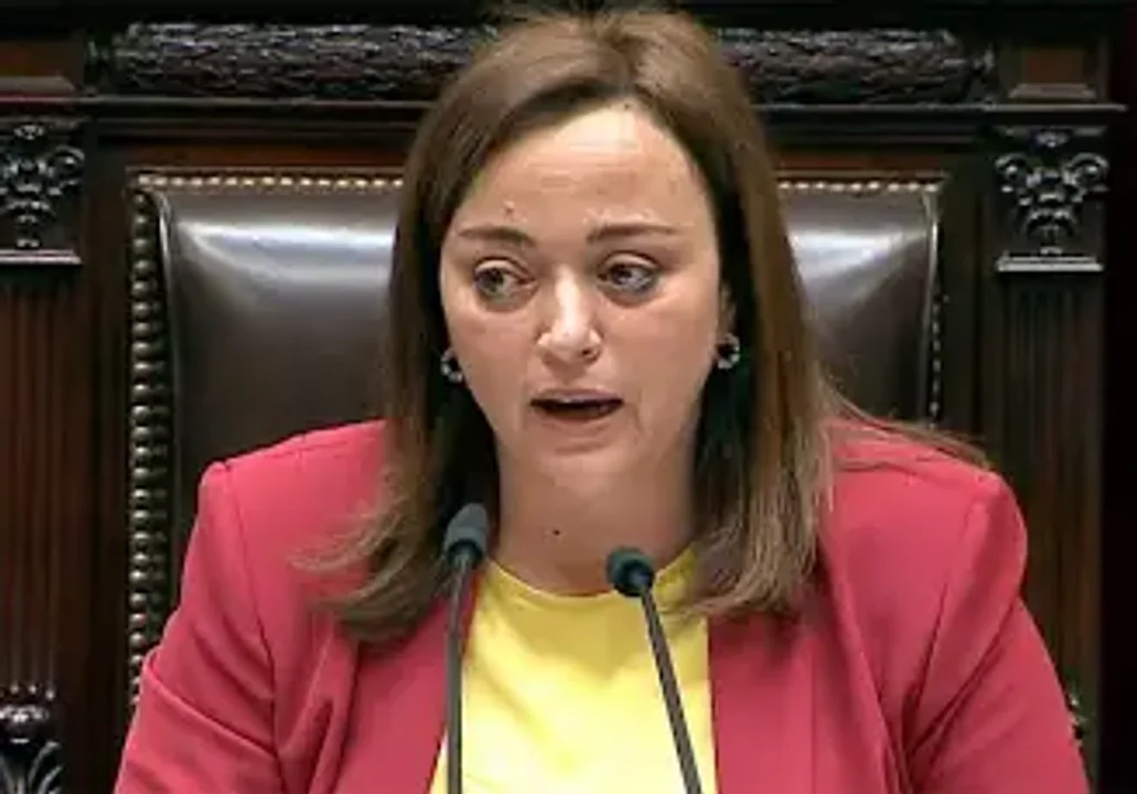 Cecilia Moreau acusó a Milei de violencia simbólica contra Ian Moche: “Fue el colmo.”